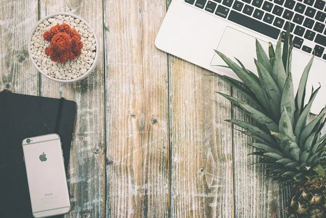 pineapple, nature, laptop, desk, wood, table, flat lay, cactus, plant, fruit, tech, copy space, mobile phone, iphone, space grey, journal, technology. Prospecting software ad claims without evidence or a lawful basis
